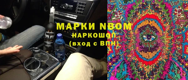 хмурый Алзамай