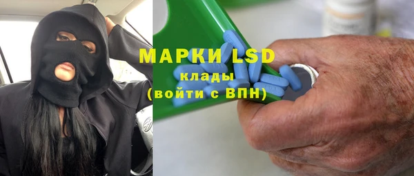 хмурый Алзамай
