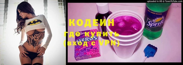 хмурый Алзамай