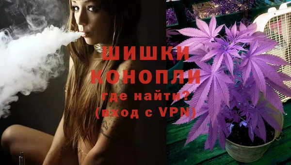 шишки Алексин