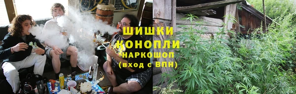шишки Алексин