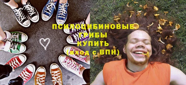 шишки Алексин