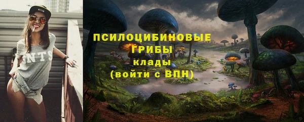 шишки Алексин